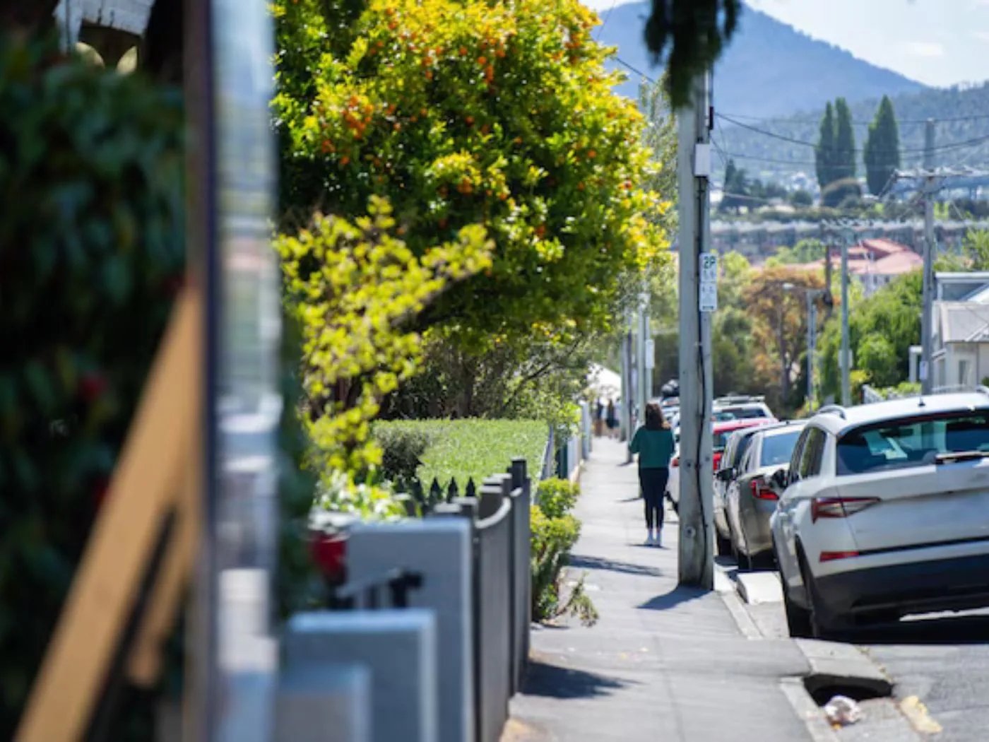 Tree-lined suburban street with parked cars and a person walking along the footpath